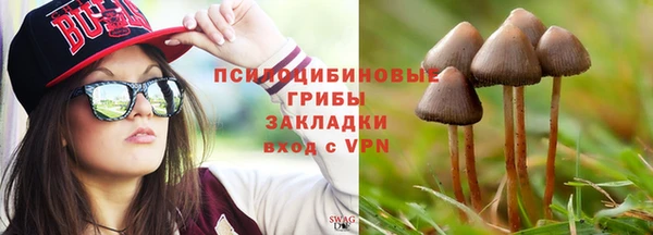 эйфоретик Алексин