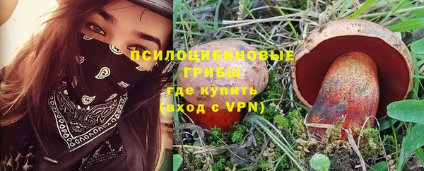 эйфоретик Алексин