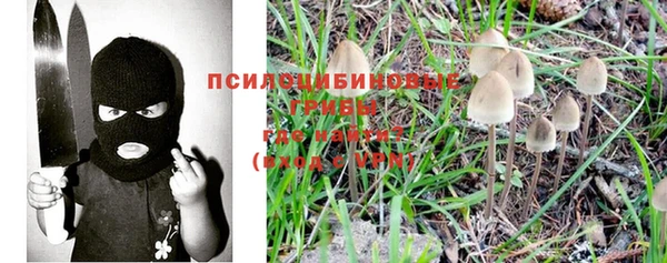 прущий лед Алексеевка