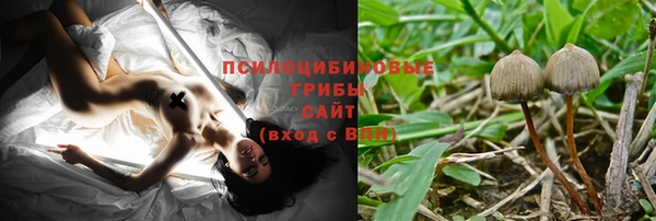 эйфоретик Алексин