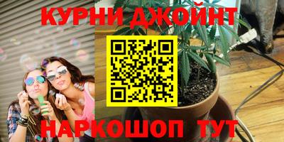 ПСИЛОЦИБИНОВЫЕ ГРИБЫ Заволжье