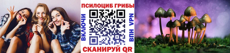Псилоцибиновые грибы Magic Shrooms  Менделеевск 