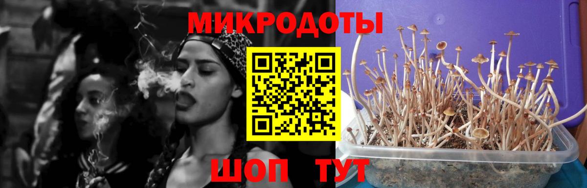 Галлюциногенные грибы Cubensis  Вход с VPN  Псилоцибиновые грибы Magic Shrooms  Менделеевск 