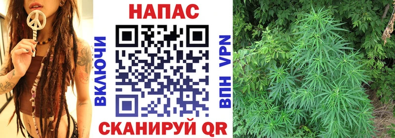 Марихуана гибрид mega маркетплейс Менделеевск